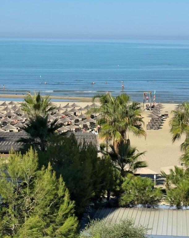 Qerret 1+1 Per shitje vijë e parë