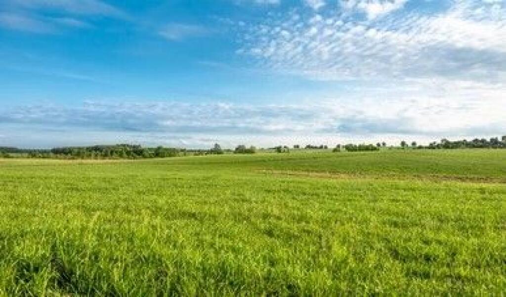 ‼️SHITET TOKE NE MAMINAS ‼️