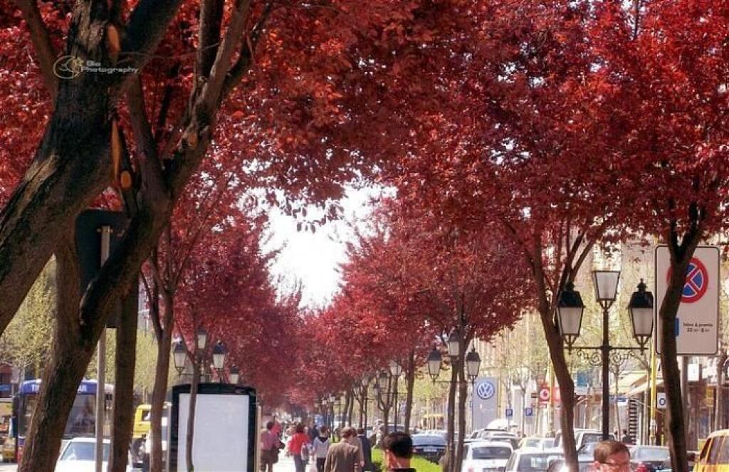 Appartamento 2+1 con veranda, Via Kavaja