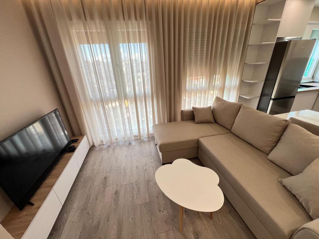 Appartamento In Affitto 1+1 in Via Jordan Misja (ID B2101324) Tirana