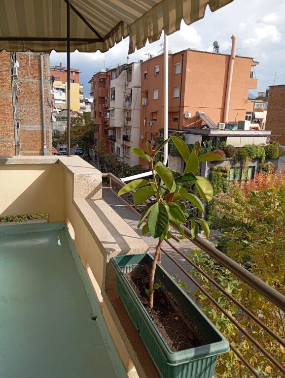 Qira 2+1 Rruga Elbasanit