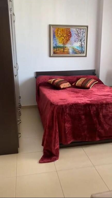 Super ap 2+1 at harry fults