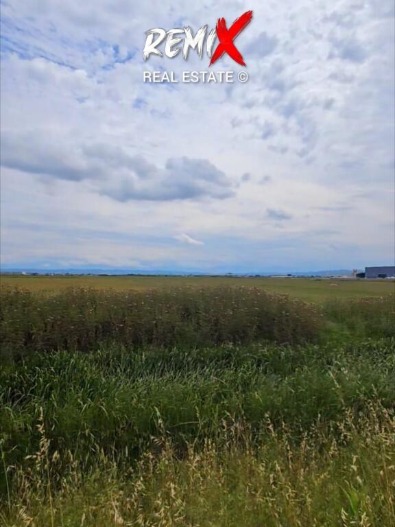 SHITET TOK3 BUZE RRUGE, SEKTOR RINIA DURRES