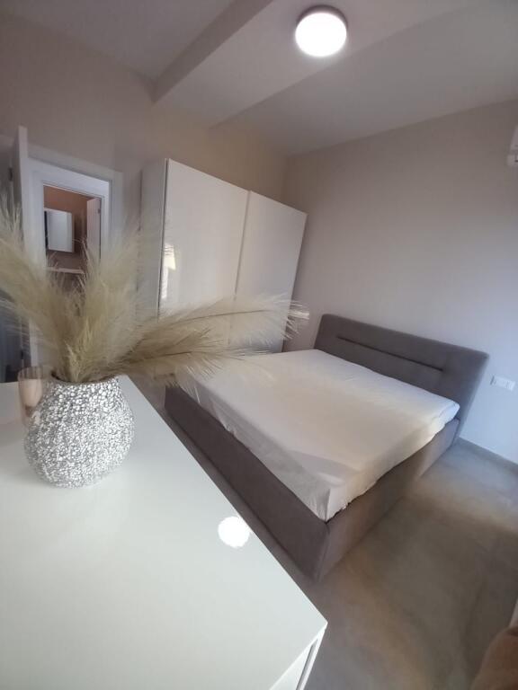 Super ap 1+1 at Kavaja street (square 21)