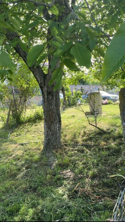 🌿 Mundësi e rrallë investimi – Shitet truall 300 m² në Kashar 1 🌿