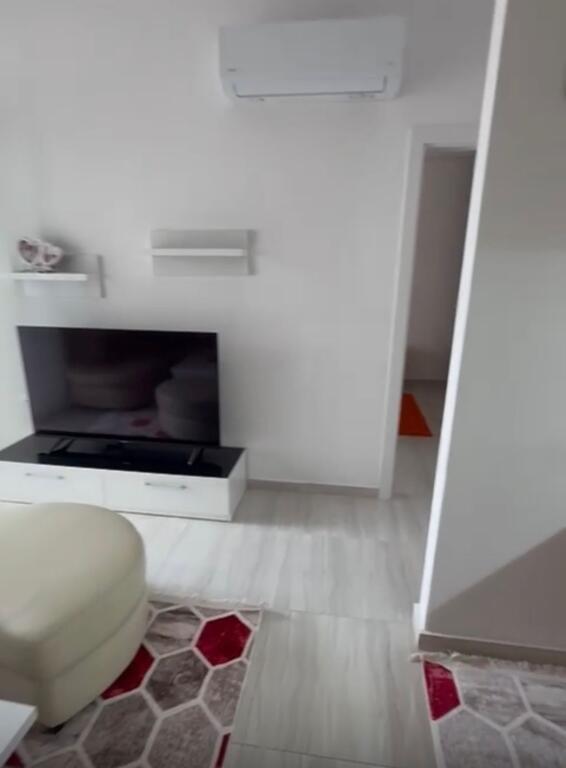 Apartament 1+1,Zogu i Zi!