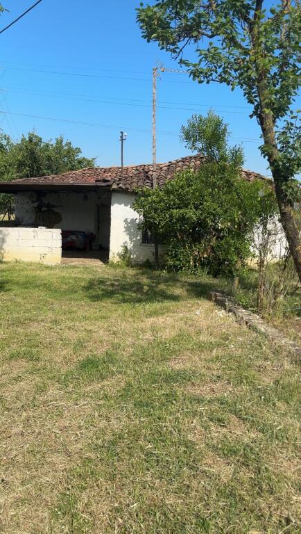 🌿 Mundësi e rrallë investimi – Shitet truall 300 m² në Kashar 1 🌿