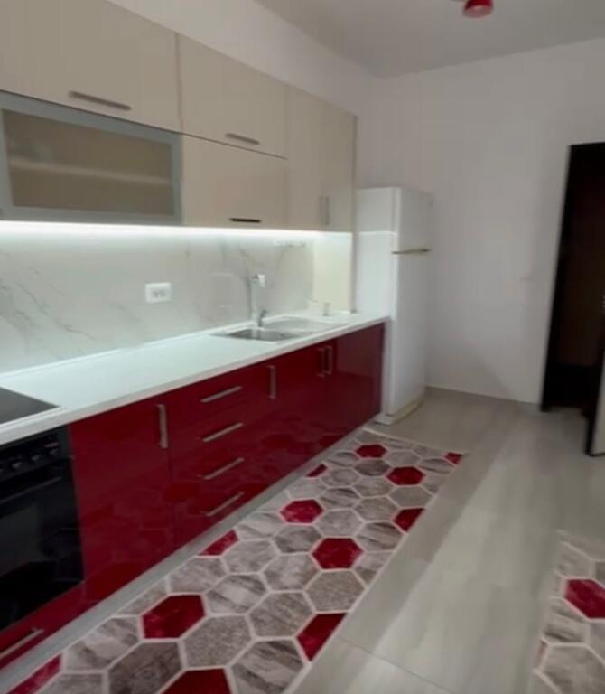 Apartament 1+1,Zogu i Zi!