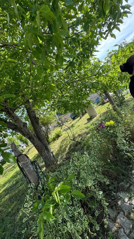 🌿 Mundësi e rrallë investimi – Shitet truall 300 m² në Kashar 1 🌿