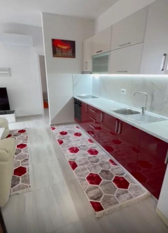 Apartament 1+1,Zogu i Zi!