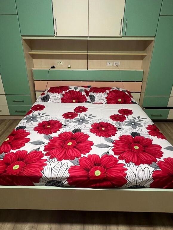 Appartamento 1+1 in Affitto