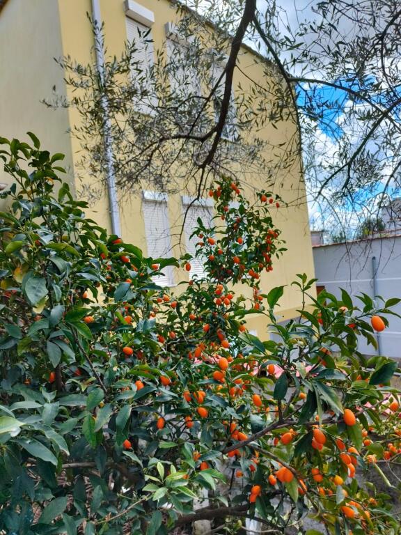 For rent 4+1. floor of a 3-story Villa