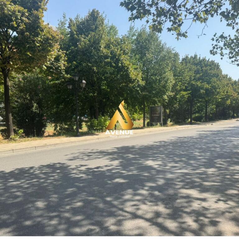 📍 JEPET ME QERA AMBIENT BIZNESI – Bulevardi Bajram Curri, përballë Delijorgjit  
