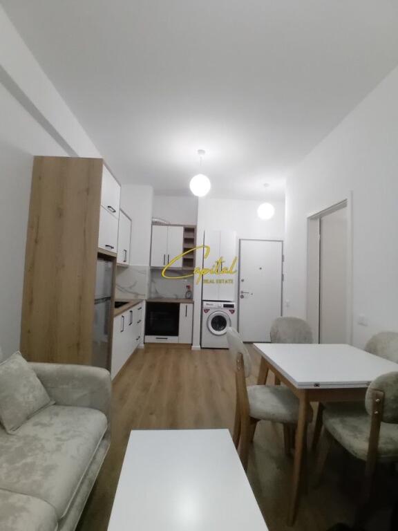 APARTMENT FOR RENT 1+1 ALI DEMI 450 EURO
