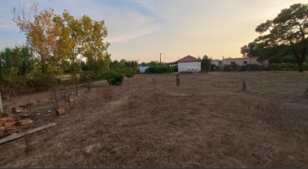 SHITET TOK TRUALL 300M+ Are 600M NE SEKTOR RINIA