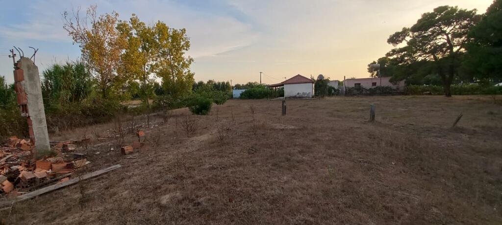 SHITET TOK TRUALL 300M+ Are 600M NE SEKTOR RINIA