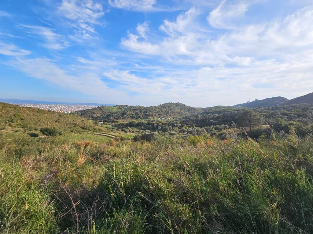 LAND FOR SALE HILL KALLM DURRES