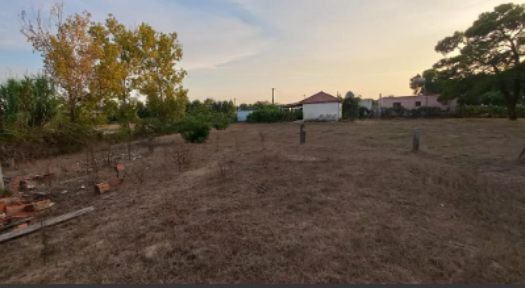 SHITET TOK TRUALL 300M+ Are 600M NE SEKTOR RINIA