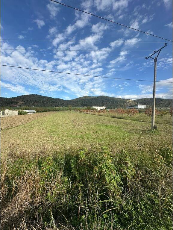 SHESIM TOKE NE OTLLAK BERAT!