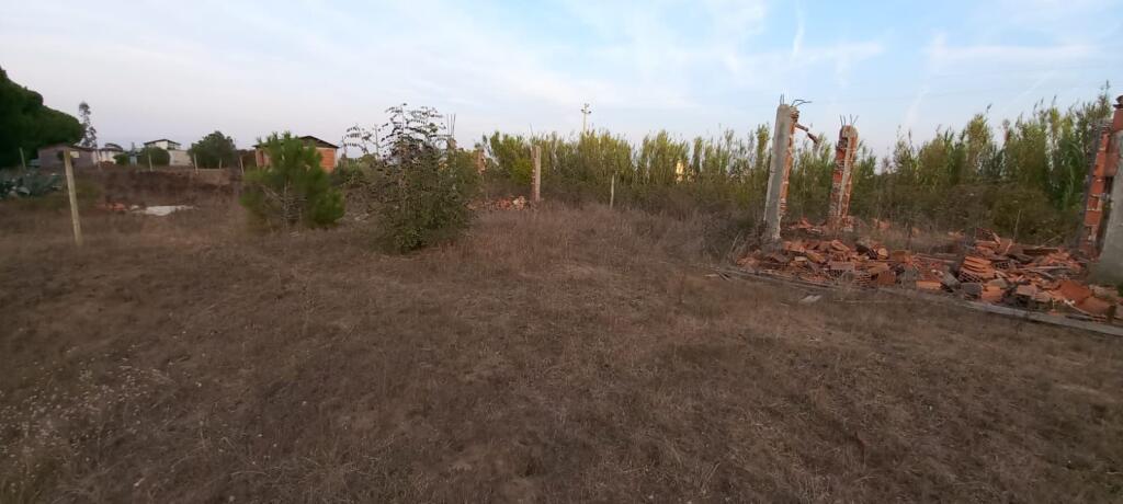 SHITET TOK TRUALL 300M+ Are 600M NE SEKTOR RINIA