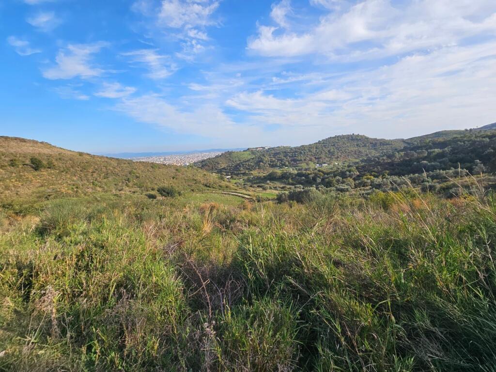 LAND FOR SALE HILL KALLM DURRES