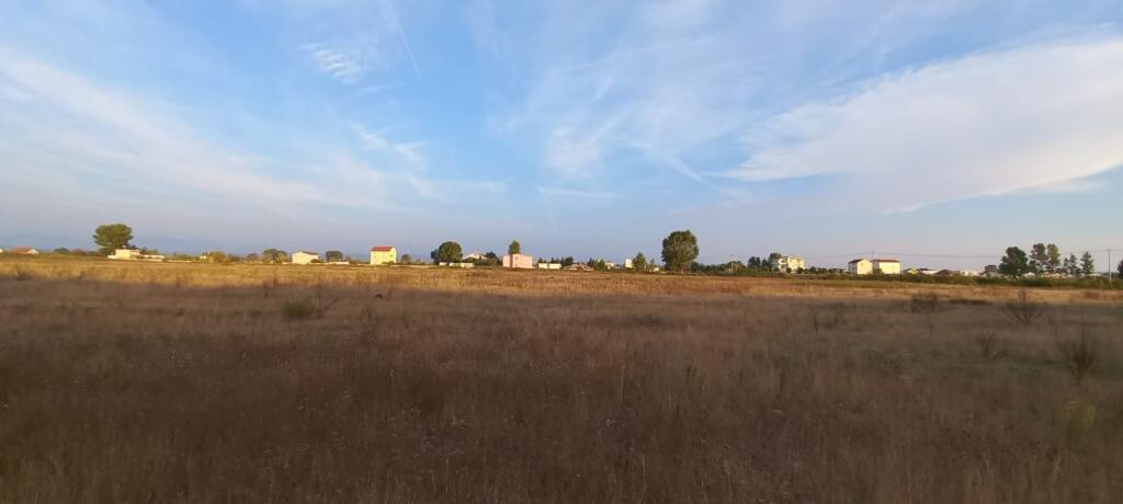 Shitet Toke Bujqesore Sektor Rinia Durres