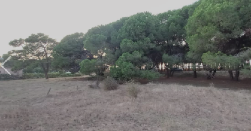 SHITET TOK TRUALL 300M+ Are 600M NE SEKTOR RINIA