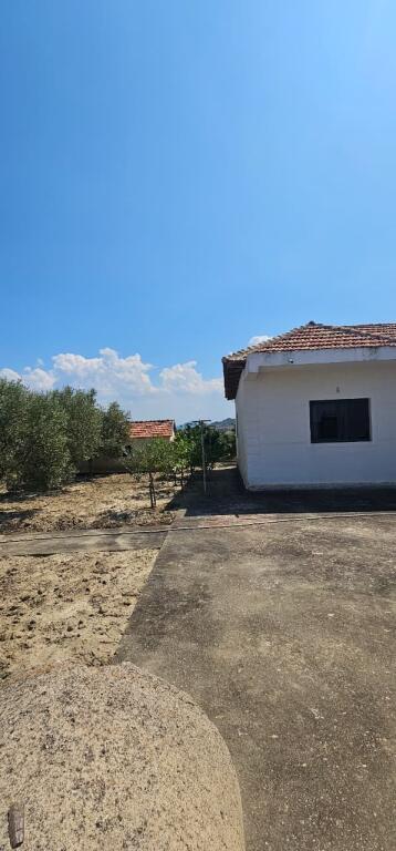 🏡 Shiten 2 shtëpi private + tokë kodrinore 9,000 m² ne Maskuri pranë Pjezës