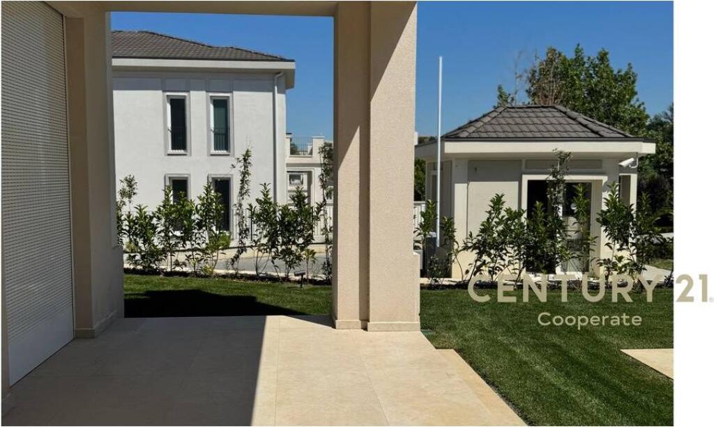 SHESIM VILE EKSKLUZIVE NE ROLLING HILL 2.