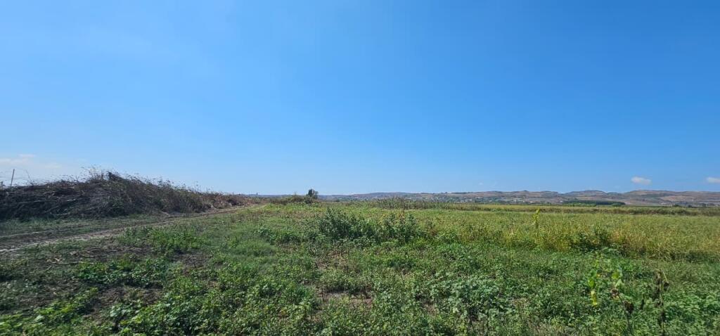 🌿 Shitet Tokë 30.000 m² në Gose, Kavajë – Mundësi e Artë Investimi!