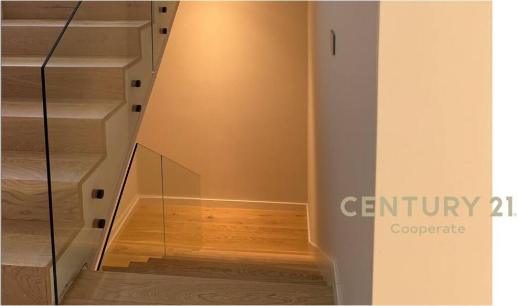 SHESIM VILE EKSKLUZIVE NE ROLLING HILL 2.