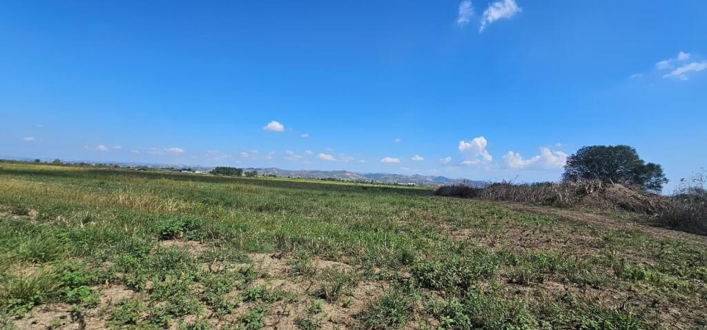 🌿 Shitet Tokë 30.000 m² në Gose, Kavajë – Mundësi e Artë Investimi!
