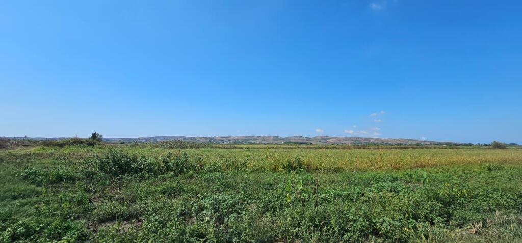 🌿 Shitet Tokë 30.000 m² në Gose, Kavajë – Mundësi e Artë Investimi!