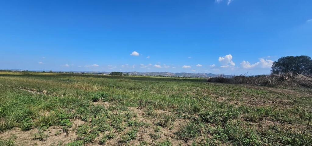 🌿 Shitet Tokë 30.000 m² në Gose, Kavajë – Mundësi e Artë Investimi!