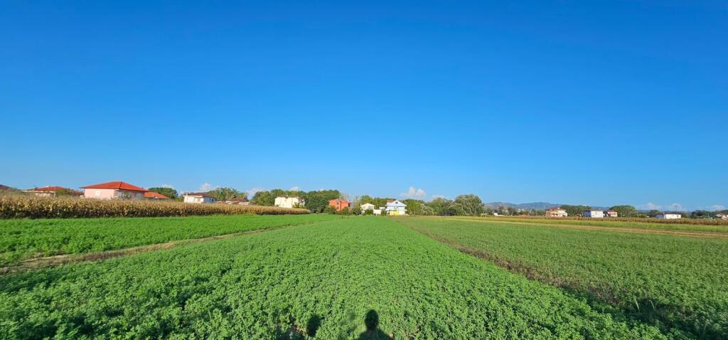 🏡 Shitet Shtëpi Private me Tokë – Ballias, Shijak