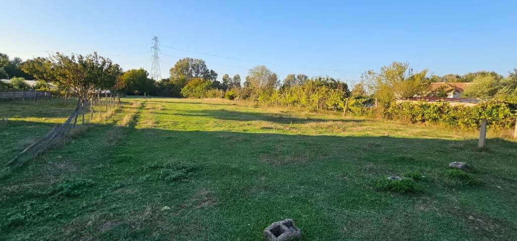 🌿 Land for Sale – ShijakShijak near Agrotourism Gjepali