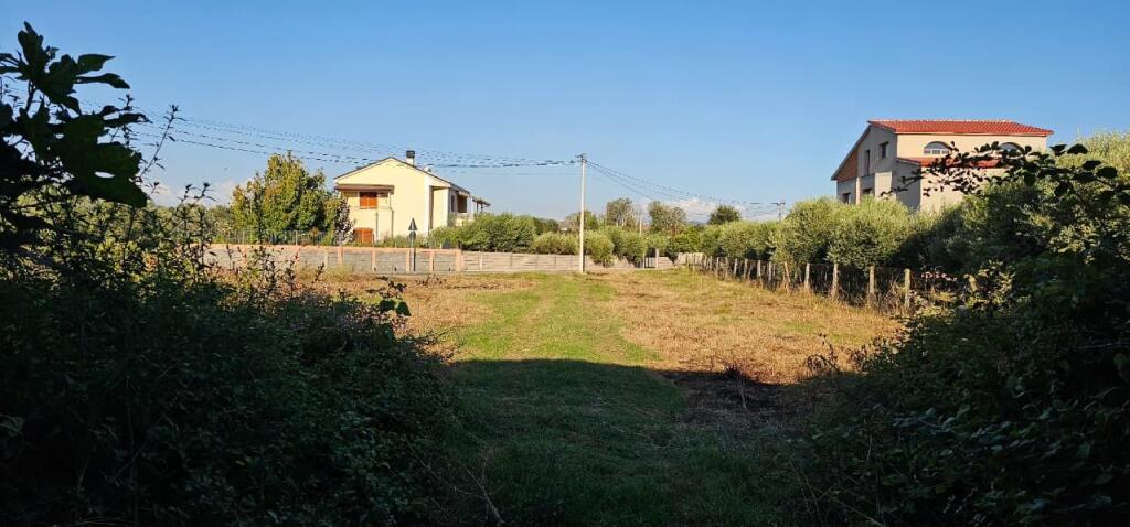 🏡 House + Olive Grove Land for Sale – Ballias, Shijak