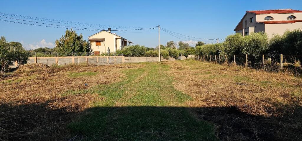 🏡 House + Olive Grove Land for Sale – Ballias, Shijak
