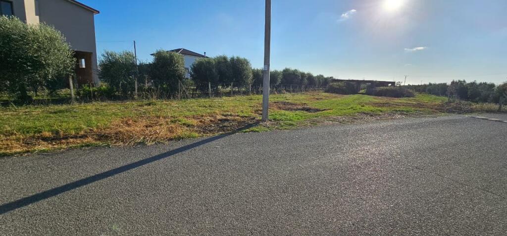 🏡 House + Olive Grove Land for Sale – Ballias, Shijak