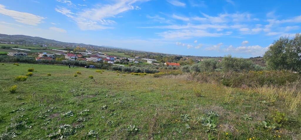 📍 Agricultural Land for Sale in Shijak, near Lake Pjeza