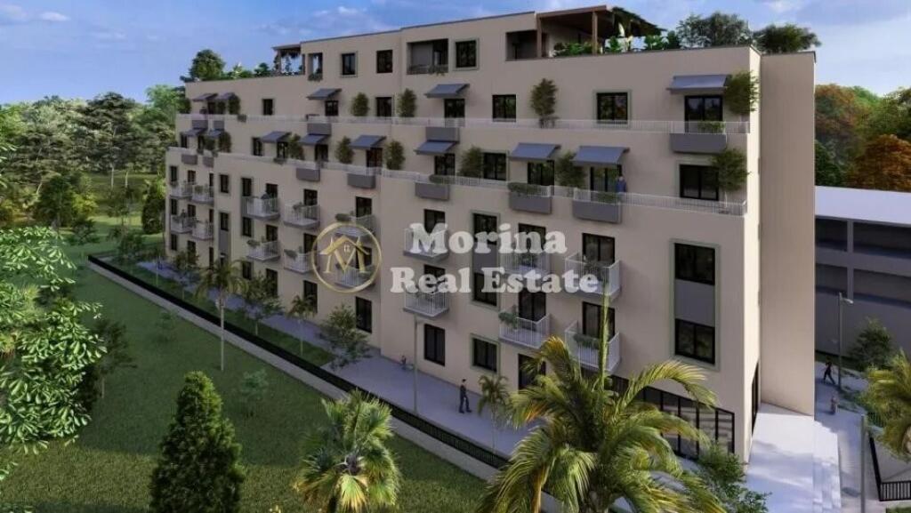 Shitje, Garsionere, ne Golem, 56304 Euro