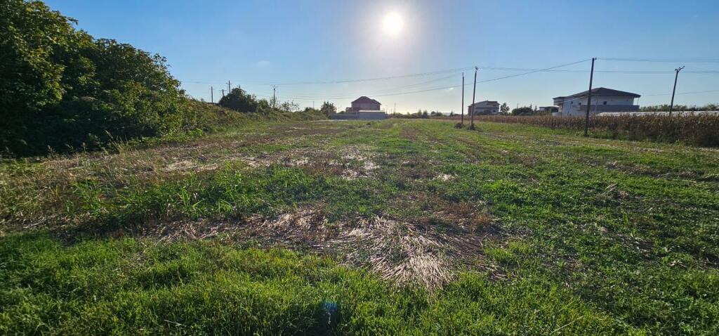 🌿 Land for Sale in Shijak Area Shijak