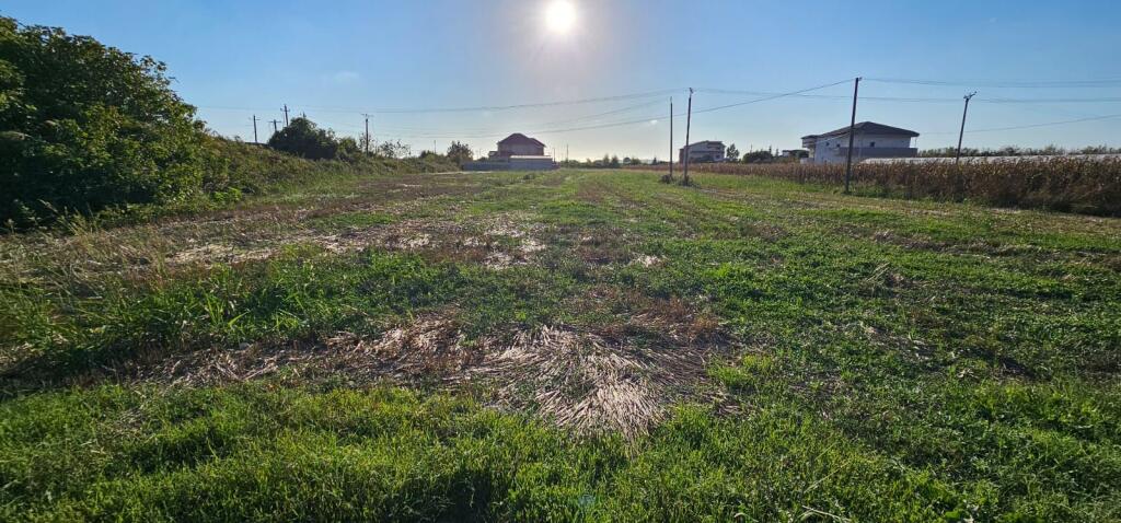 🌿 Land for Sale in Shijak Area Shijak