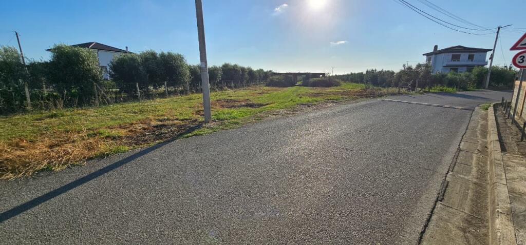 🏡 House + Olive Grove Land for Sale – Ballias, Shijak