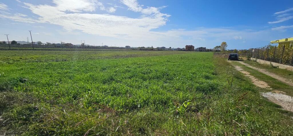 📍 AGRICULTURAL LAND FOR SALE – SHIJAK
