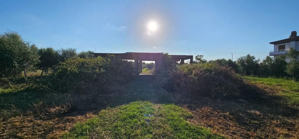 🏡 House + Olive Grove Land for Sale – Ballias, Shijak