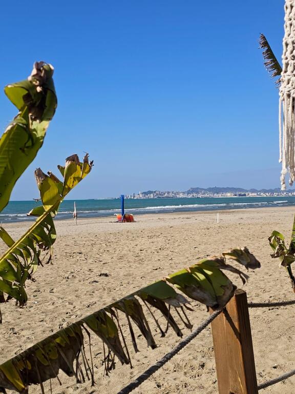 SHITET TOKË TEK ZONA E SHKEMBIT TE KAVAJES