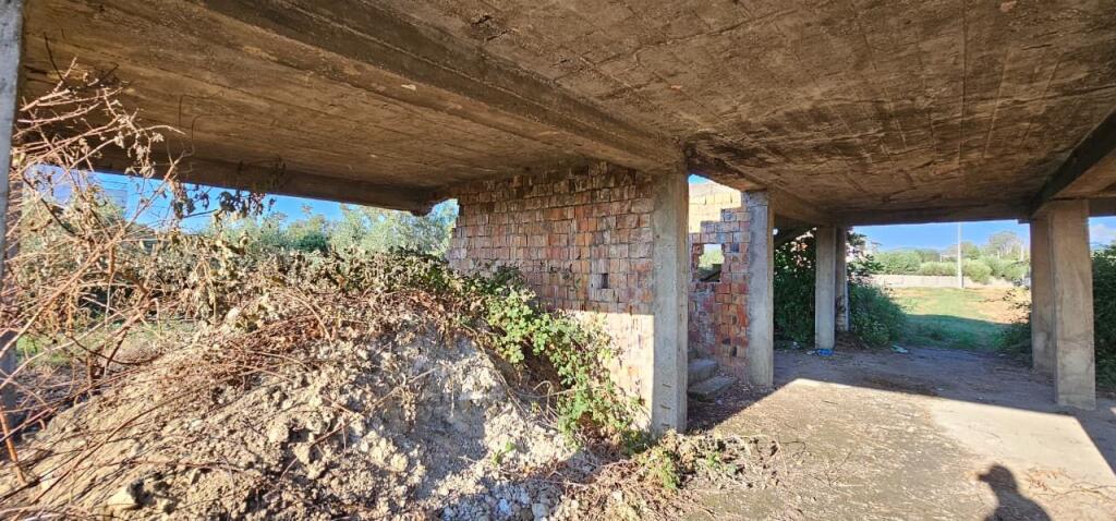 🏡 House + Olive Grove Land for Sale – Ballias, Shijak