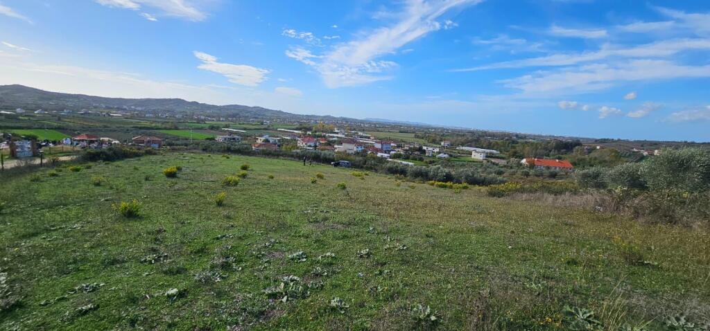 📍 Agricultural Land for Sale in Shijak, near Lake Pjeza