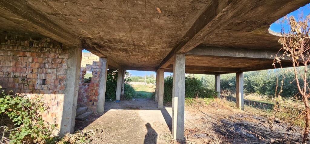 🏡 House + Olive Grove Land for Sale – Ballias, Shijak